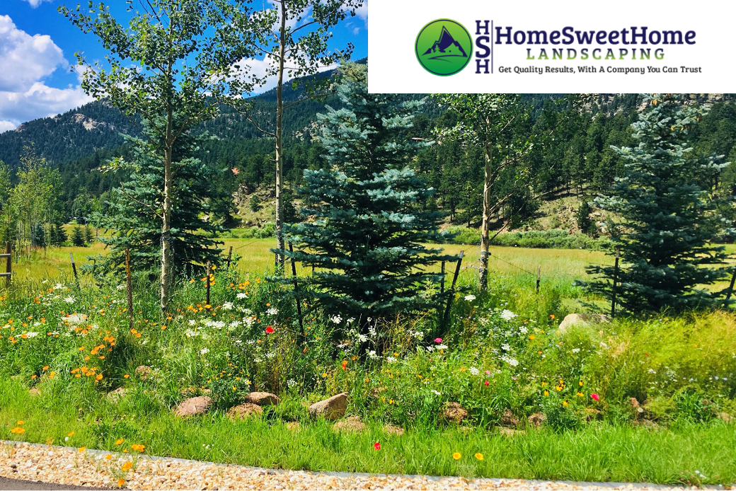 Breckenridge CO Landscaping
