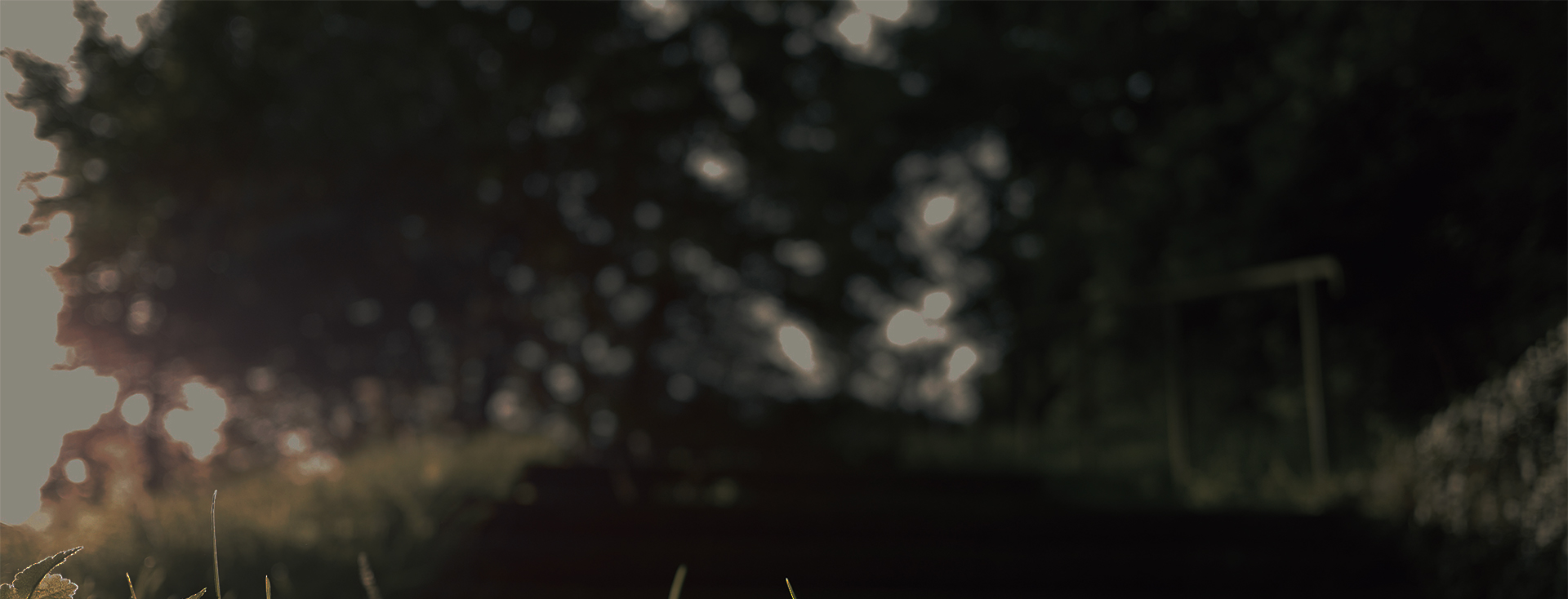 sitewired
