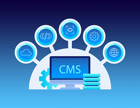 What is the WordPress Content Management System (CMS)?