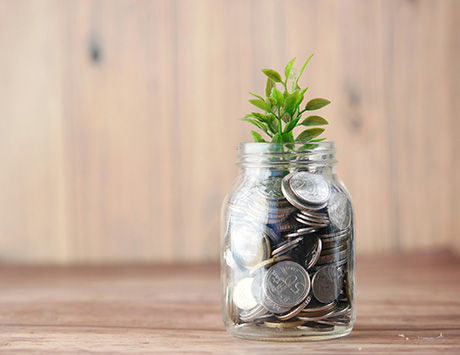 How Much is it to Build a WordPress Website?