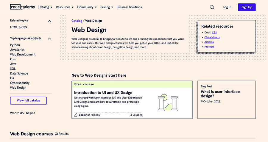 Where Do I Learn Website Design?