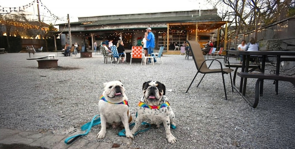 Denver dog friendly patios