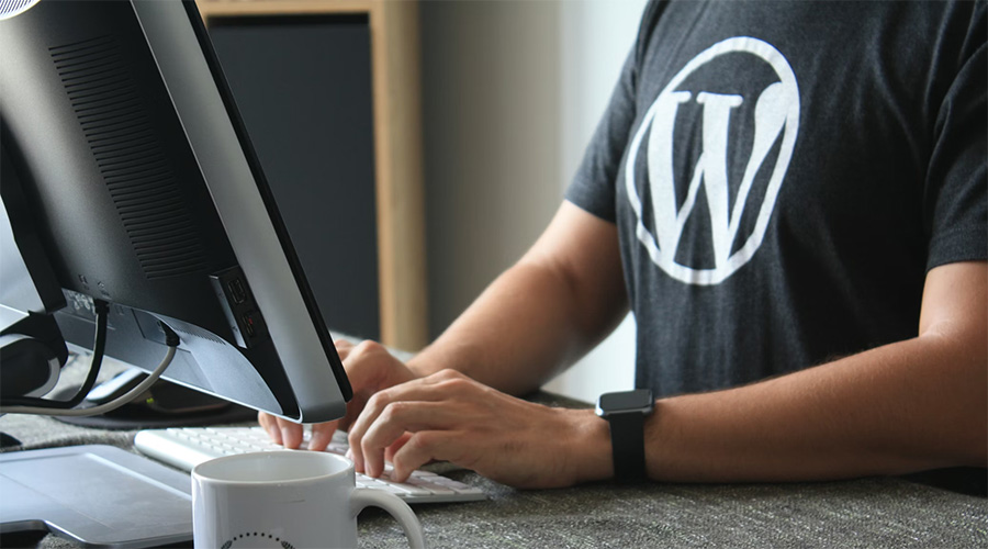 Denver WordPress Web Design & Development
