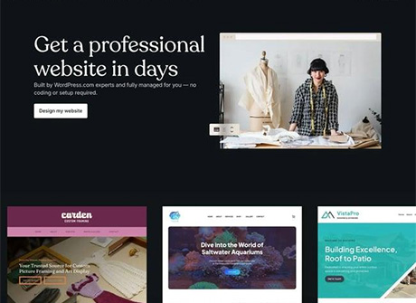 WordPress vs Squarespace vs Wix vs Webflow: What’s Best for Denver Businesses?